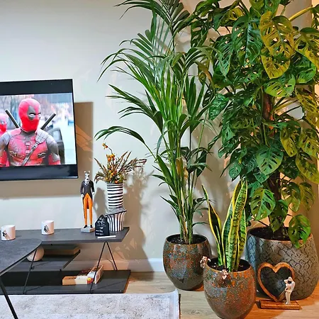 Maga Apartamento *